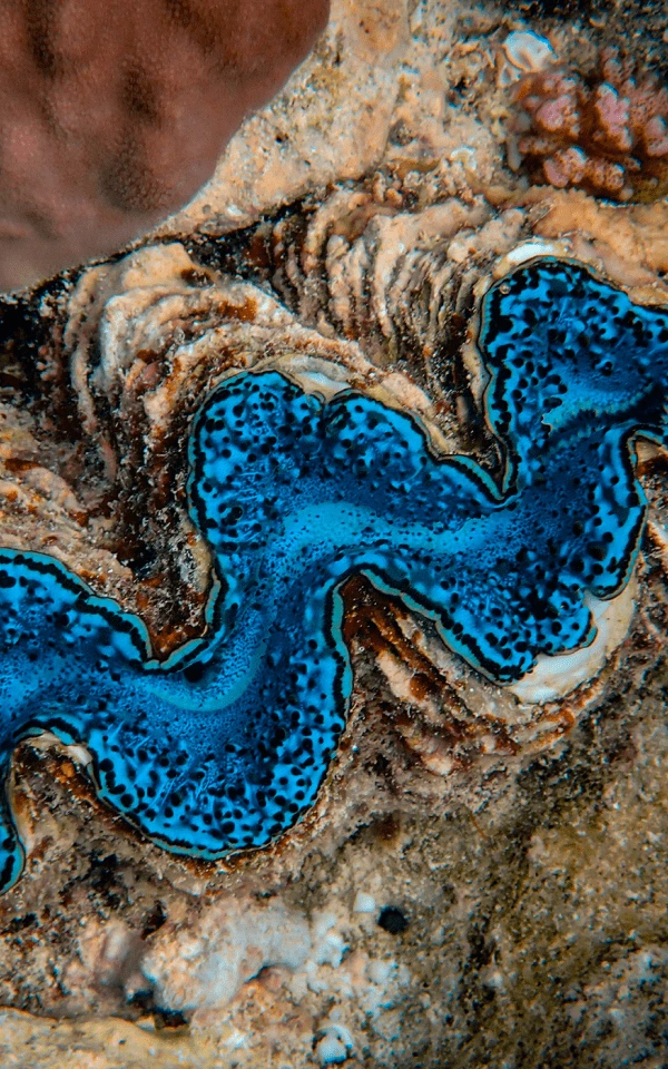 Panduan Anda untuk Menggunakan AI dalam Pemasaran E-mel