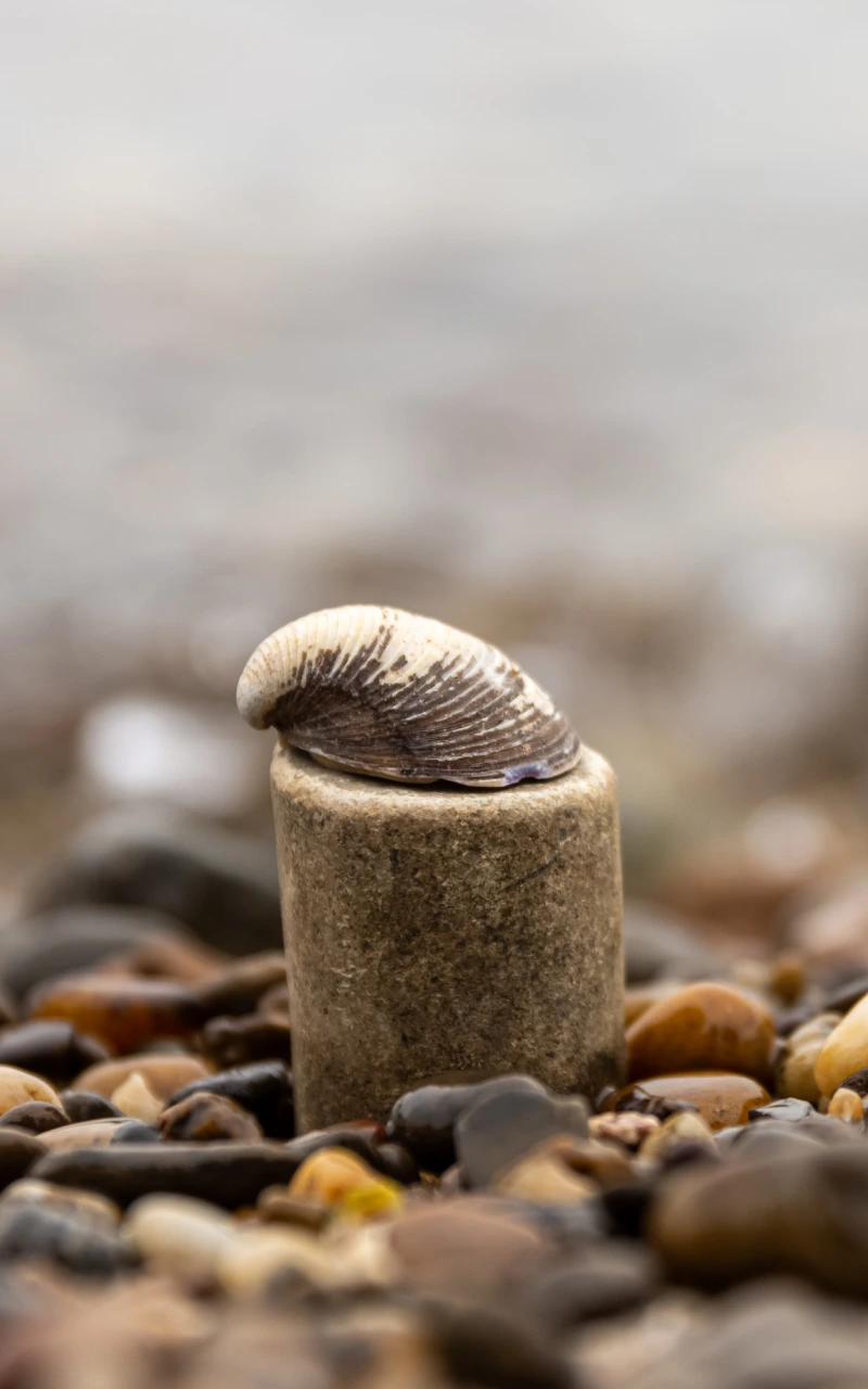 Pengoptimuman Enjin Generatif (GEO): Kandungan anda dipilih oleh AI