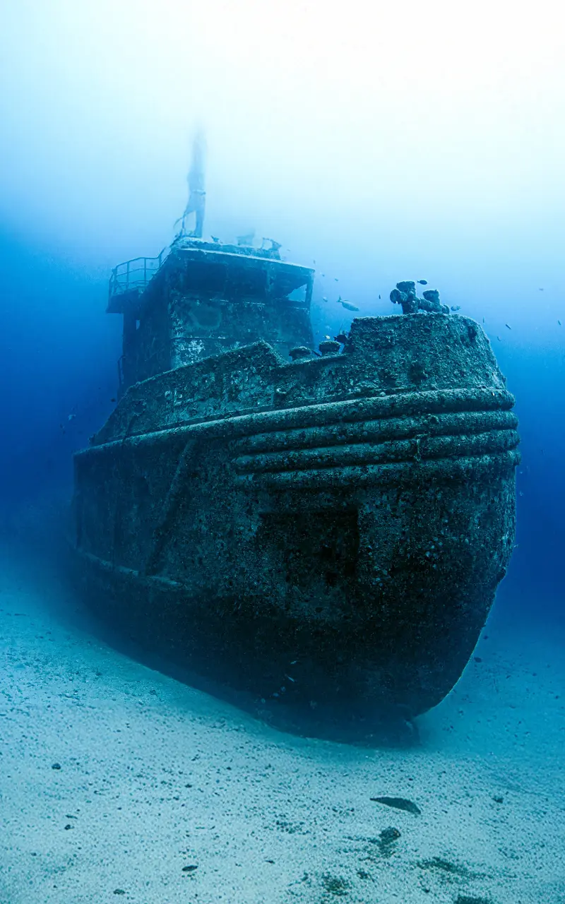 Lindungi Perbelanjaan Iklan Anda untuk Masa Depan: Mengapa Google Tag Gateway ialah Kemas Kini yang Kritikal