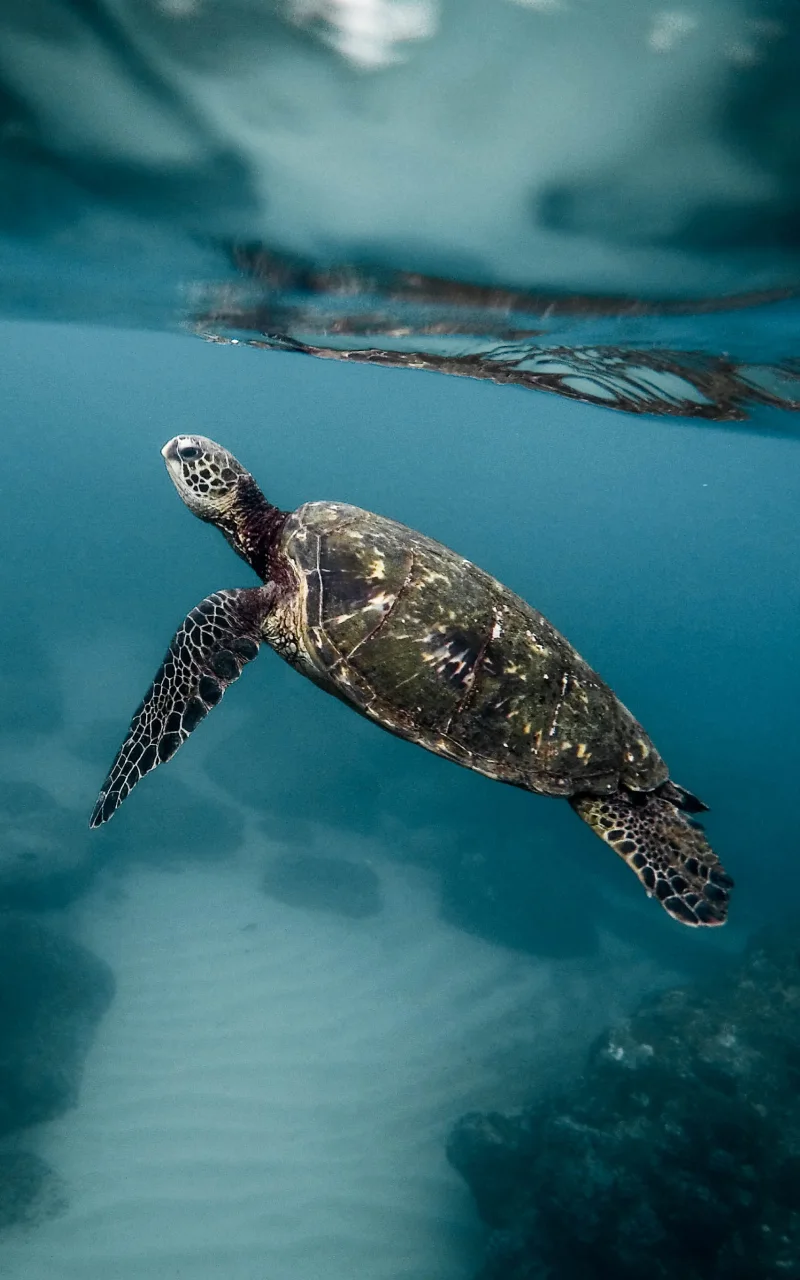Menavigasi tren pemasaran B2B 2026 tanpa kehilangan fokus. Ketahui apa yang berubah dalam kelakuan pembeli [X101X] asas kekal yang tidak patut anda terlalu mengubah suai.